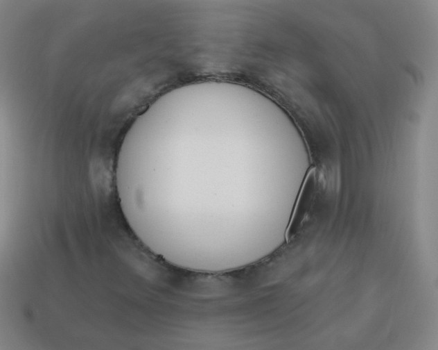 X0000113341348200910131210