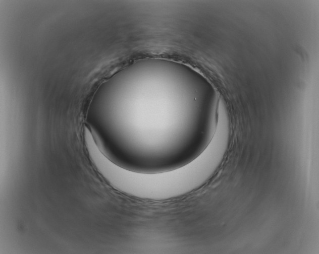 X0000113341349200910131210