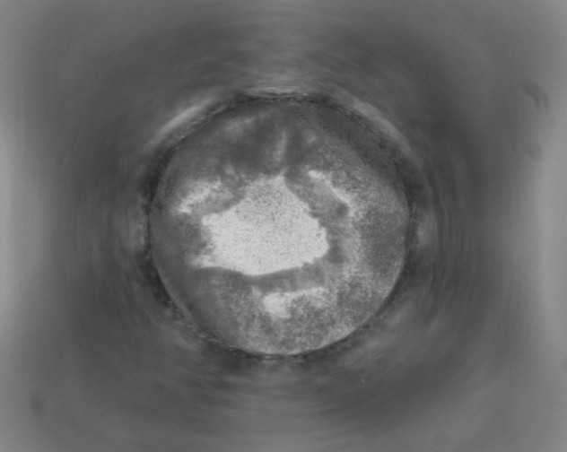 X0000113341350200910131210