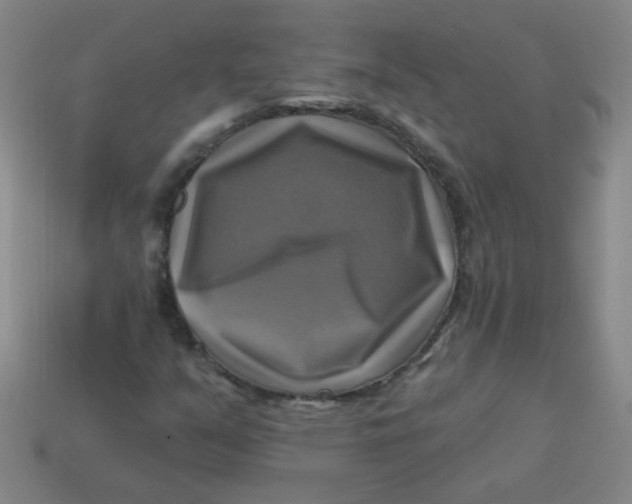X0000113341351200910131210