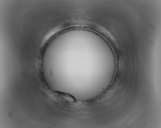 X0000113341352200910131210