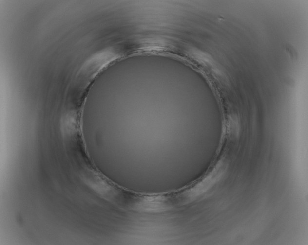 X0000113341353200910131210