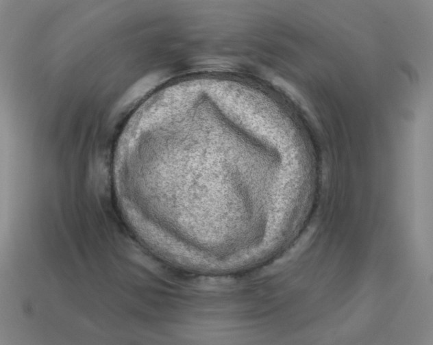 X0000113341354200910131209