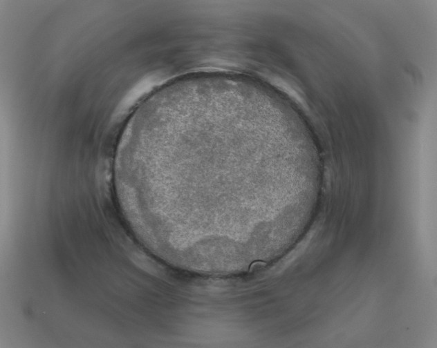 X0000113341355200910131209