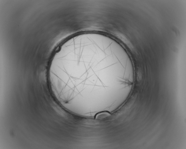 X0000113341356200910131209