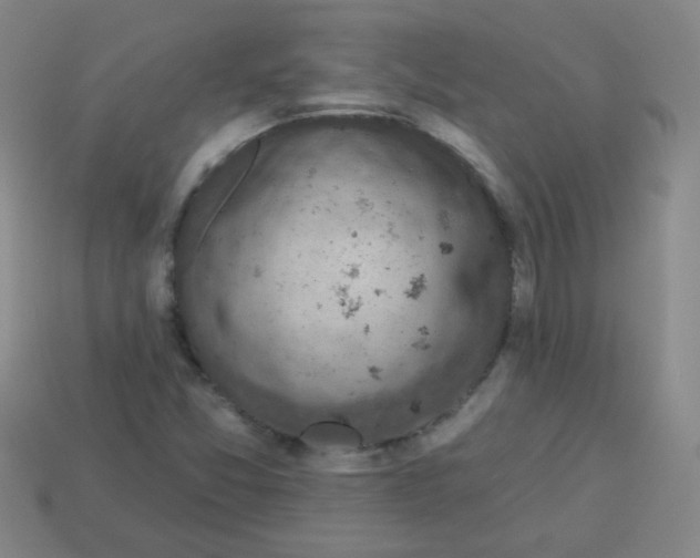 X0000113341357200910131209