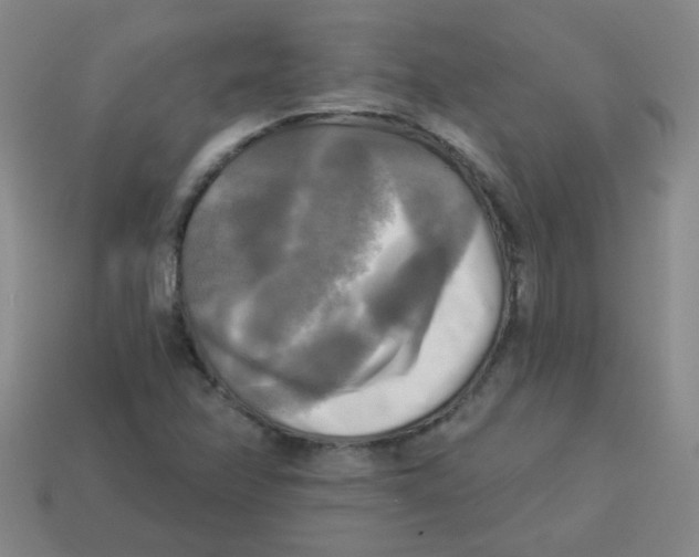 X0000113341358200910131209