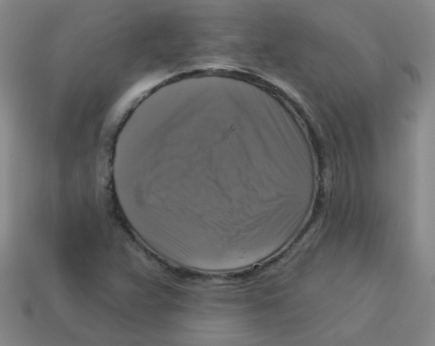 X0000113341359200910131209