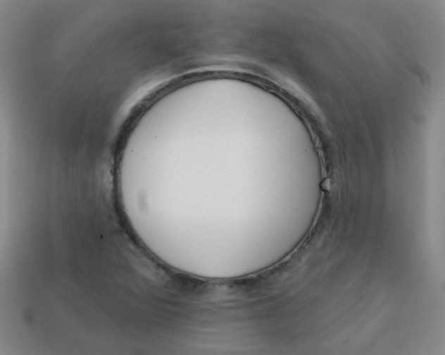 X0000113341360200910131209