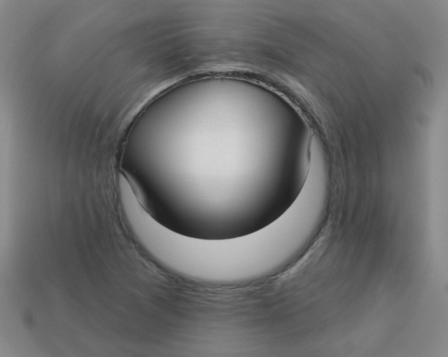 X0000113341361200910131209