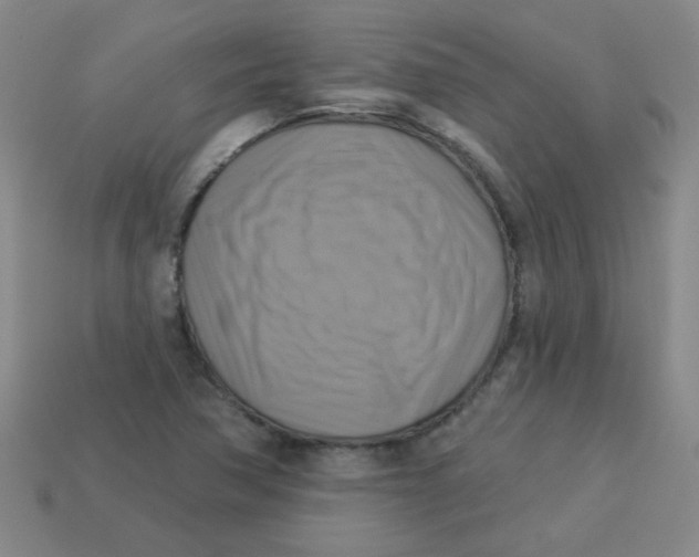 X0000113341362200910131209