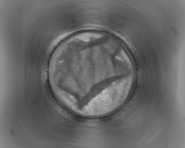 X0000113341363200910131209