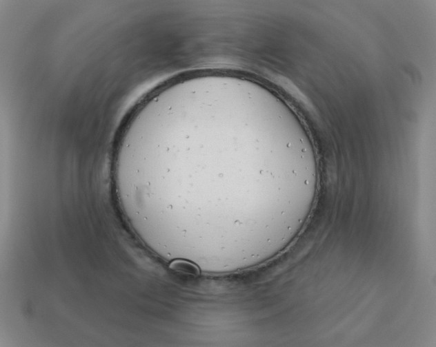 X0000113341364200910131209