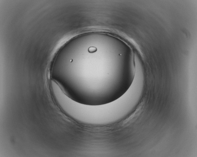 X0000113341365200910131209
