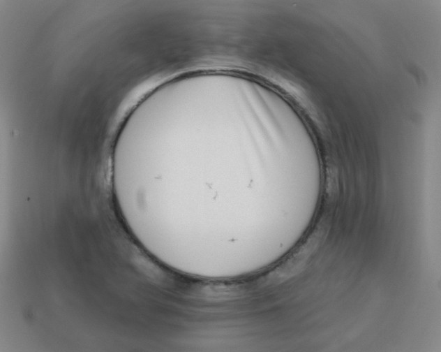 X0000113341366200910131209