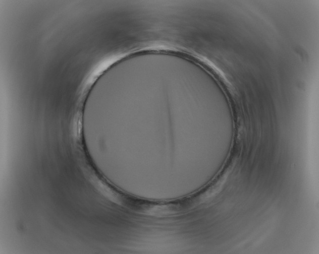 X0000113341367200910131209