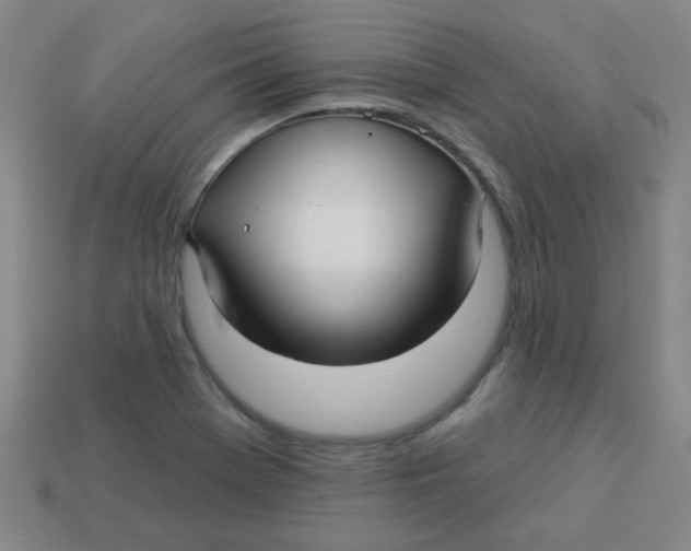 X0000113341369200910131209