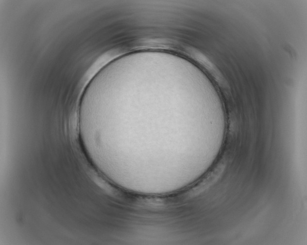 X0000113341370200910131209