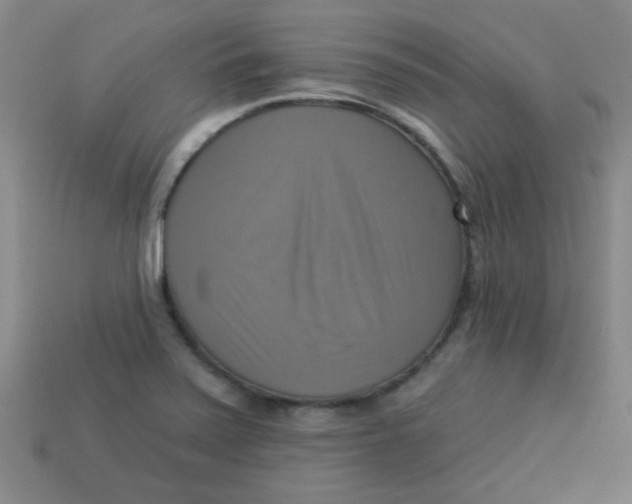 X0000113341371200910131209