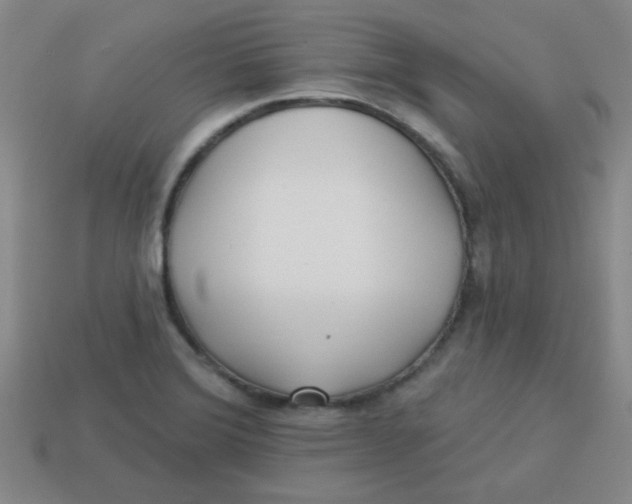 X0000113341372200910131209