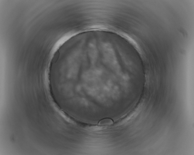 X0000113341373200910131209