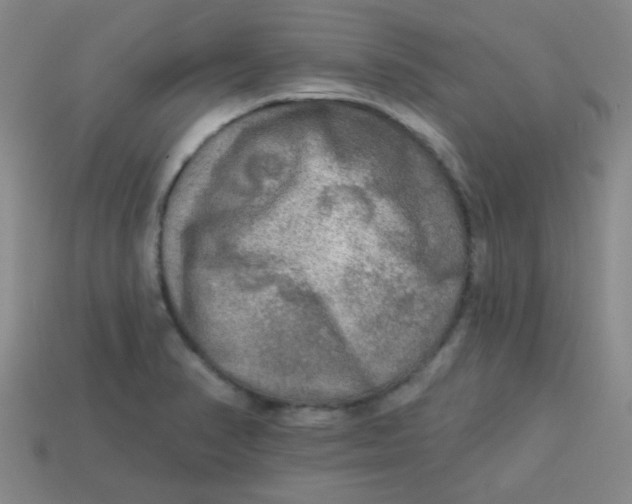 X0000113341374200910131209