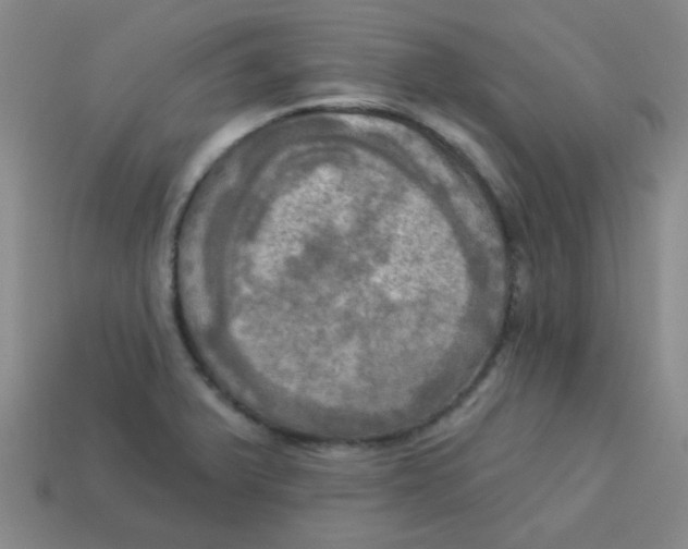 X0000113341375200910131209