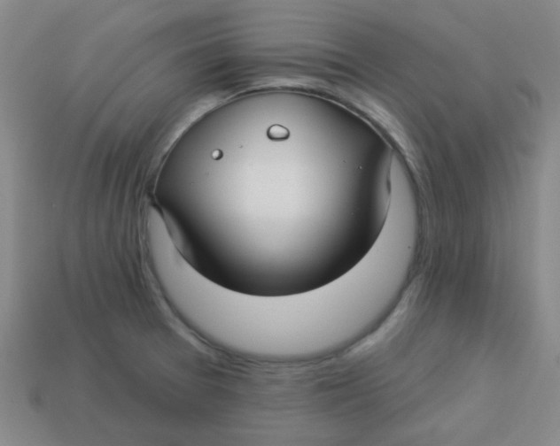 X0000113341377200910131209