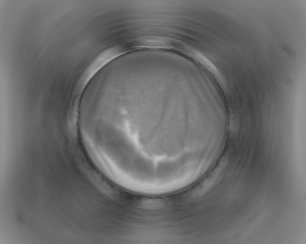 X0000113341378200910131209