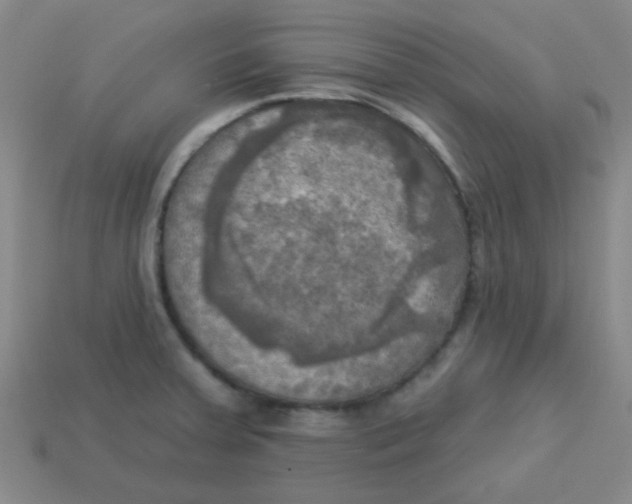 X0000113341379200910131209