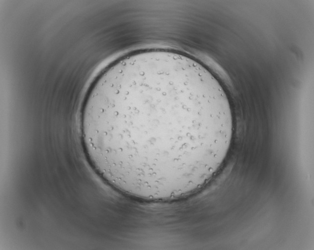 X0000113341380200910131209
