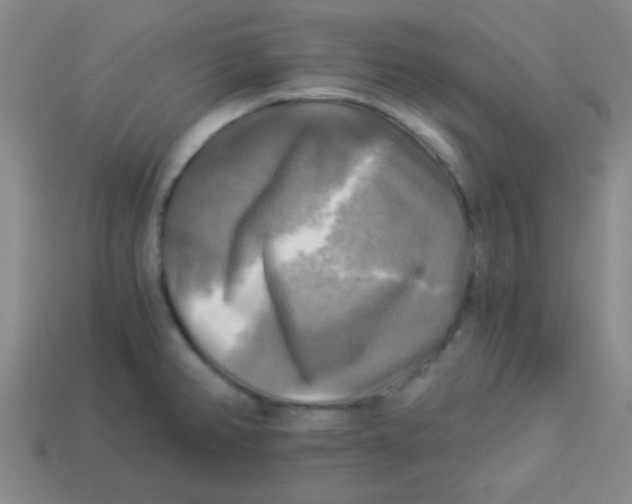 X0000113341382200910131209
