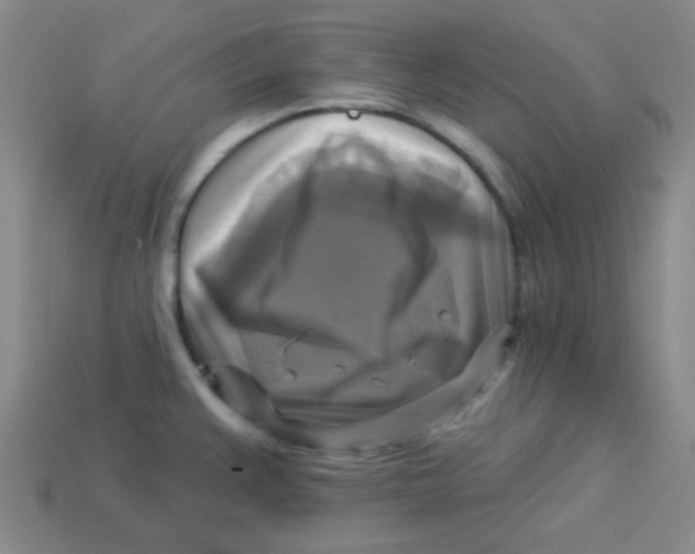 X0000113341383200910131209