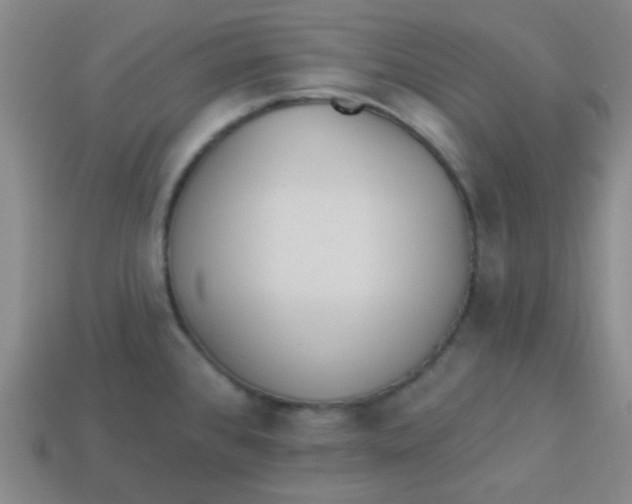 X0000113341384200910131209