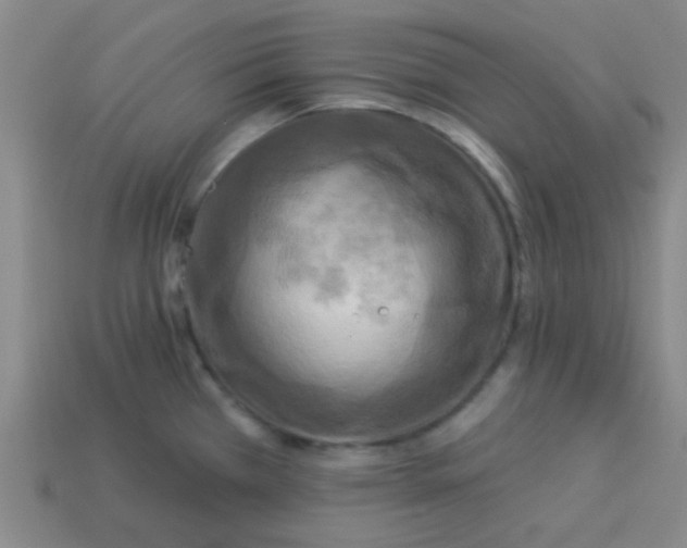 X0000113341385200910131209