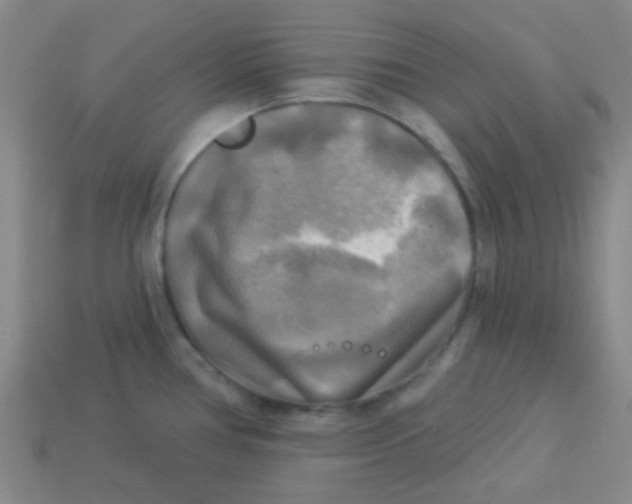 X0000113341386200910131209