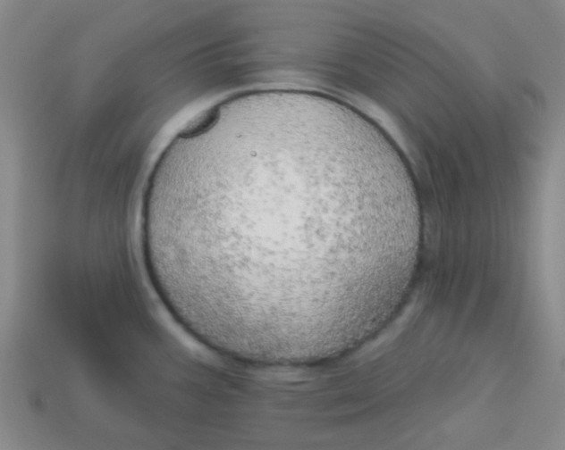 X0000113341387200910131209