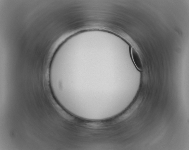 X0000113341388200910131209