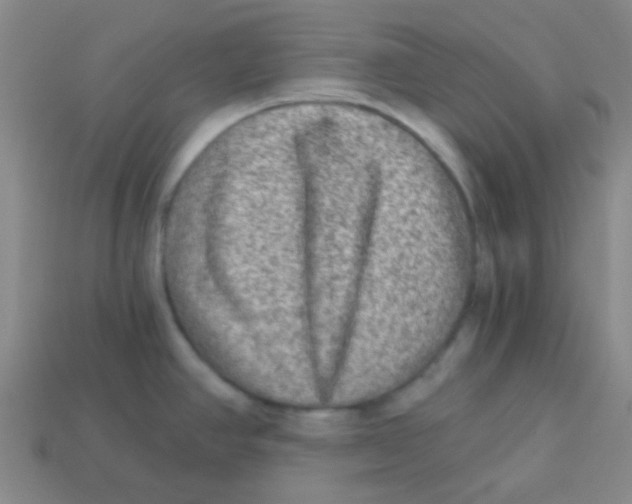 X0000113341390200910131209