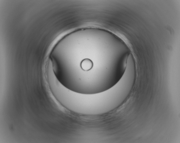 X0000113341392200910131209