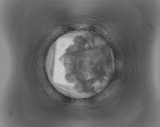 X0000113341393200910131208