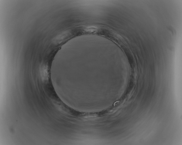X0000113341394200910131208