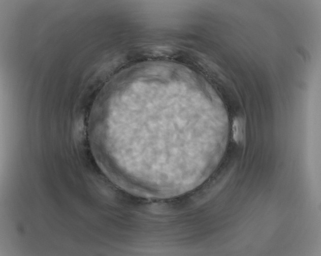 X0000113341395200910131208