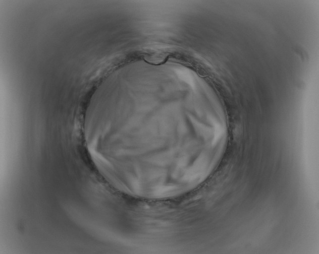 X0000113341397200910131208