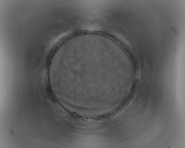 X0000113341398200910131208