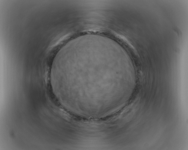 X0000113341399200910131208