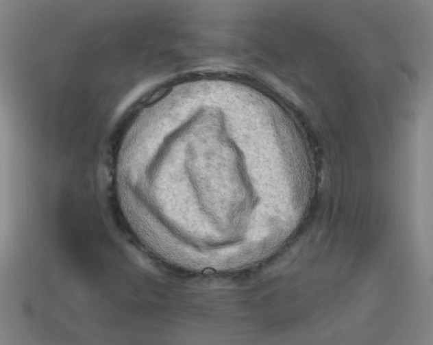 X0000113341400200910131208