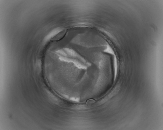 X0000113341402200910131208