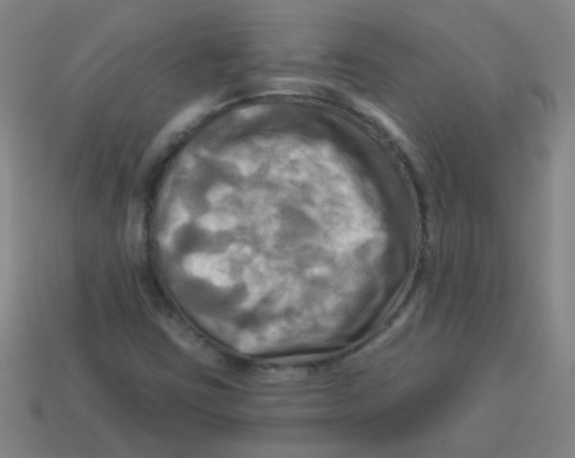 X0000113341403200910131208
