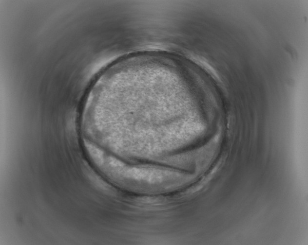 X0000113341404200910131208